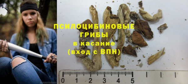 дмт Пролетарск