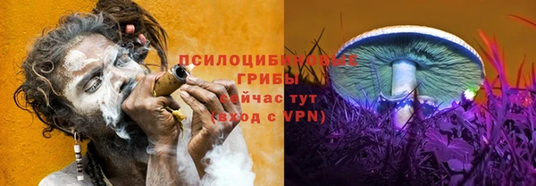 дмт Пролетарск