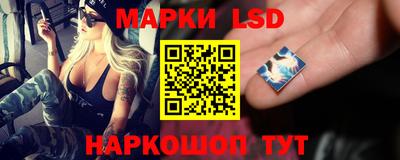 шишки Гатчина