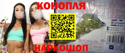 шишки Гатчина