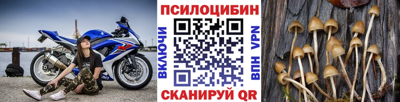 где продают наркотики  ссылка на мегу как войти  Псилоцибиновые грибы мицелий  Тавда 