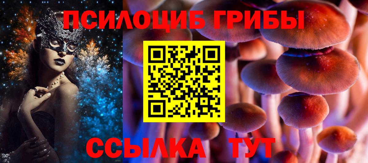 Галлюциногенные грибы мицелий  магазин    Тавда  Вход с VPN 