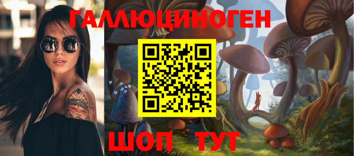 Псилоцибиновые грибы Psilocybine cubensis Тавда