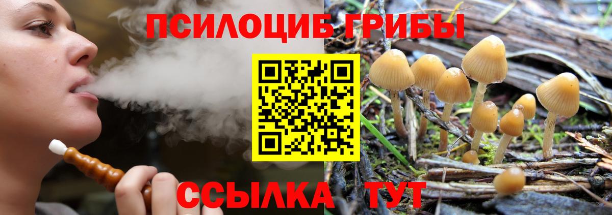 Галлюциногенные грибы Psilocybine cubensis  где найти наркотики  Тавда 